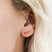 amber ear crawlers